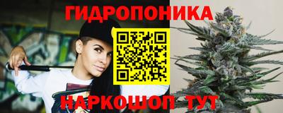 марки lsd Гусиноозёрск